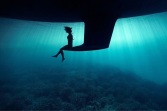Underwater Photography by Enric Adrian Gener