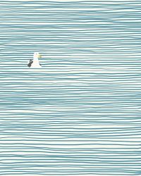 Seagull - Jorey Hurley